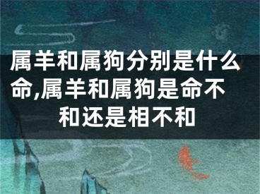 属羊和属狗分别是什么命,属羊和属狗是命不和还是相不和