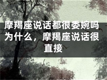 摩羯座说话都很委婉吗为什么,摩羯座说话很直接