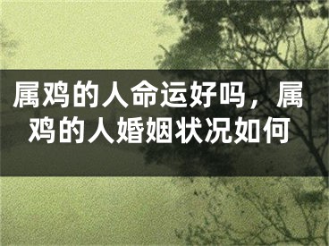 属鸡的人命运好吗，属鸡的人婚姻状况如何