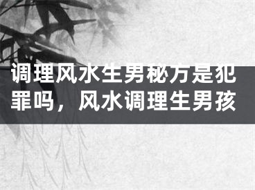 调理风水生男秘方是犯罪吗，风水调理生男孩