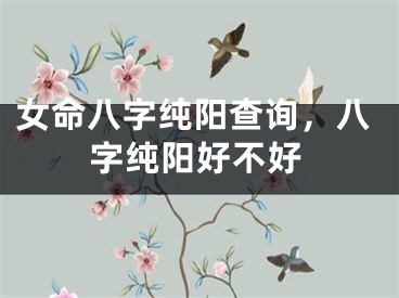 女命八字纯阳查询，八字纯阳好不好