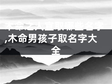 木命之人宜取哪些名字,木命男孩子取名字大全