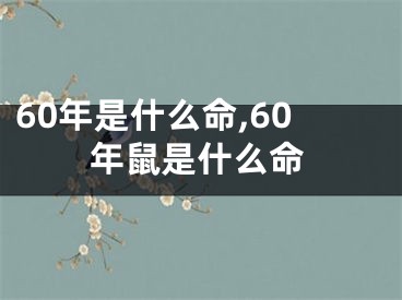 60年是什么命,60年鼠是什么命