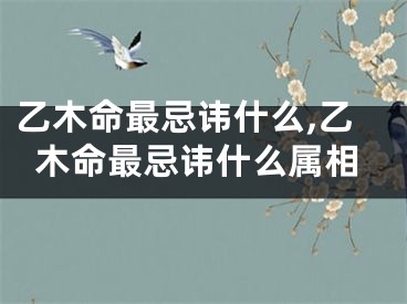 乙木命最忌讳什么,乙木命最忌讳什么属相