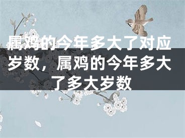 属鸡的今年多大了对应岁数，属鸡的今年多大了多大岁数