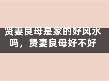 贤妻良母是家的好风水吗，贤妻良母好不好