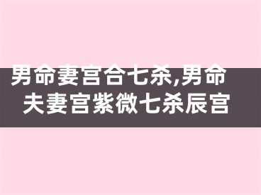 男命妻宫合七杀,男命夫妻宫紫微七杀辰宫