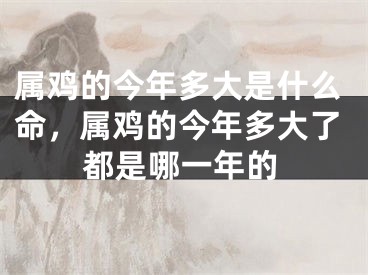 属鸡的今年多大是什么命，属鸡的今年多大了都是哪一年的