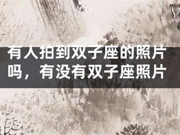 有人拍到双子座的照片吗，有没有双子座照片