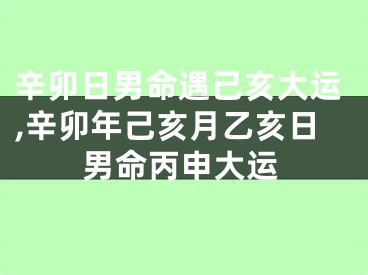 辛卯日男命遇己亥大运,辛卯年己亥月乙亥日男命丙申大运