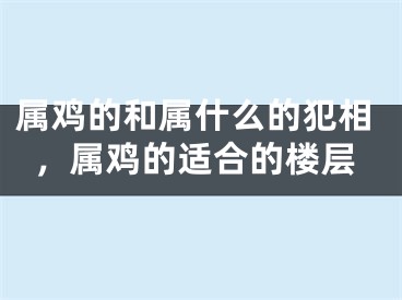 属鸡的和属什么的犯相，属鸡的适合的楼层