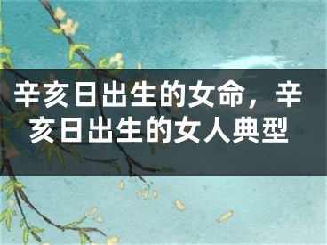 辛亥日出生的女命，辛亥日出生的女人典型
