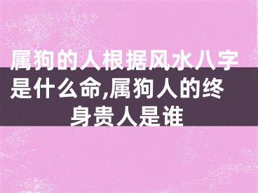 属狗的人根据风水八字是什么命,属狗人的终身贵人是谁
