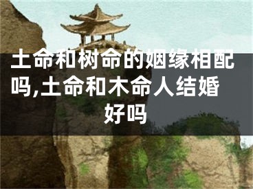 土命和树命的姻缘相配吗,土命和木命人结婚好吗