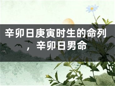 辛卯日庚寅时生的命列，辛卯日男命