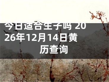 今日适合生子吗 2026年12月14日黄历查询