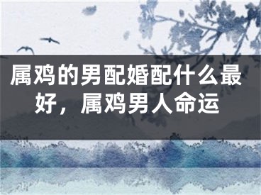属鸡的男配婚配什么最好，属鸡男人命运