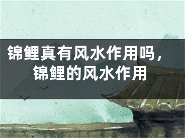 锦鲤真有风水作用吗，锦鲤的风水作用