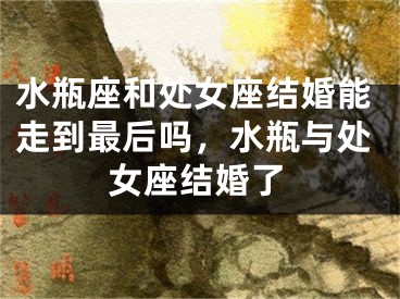 水瓶座和处女座结婚能走到最后吗,水瓶与处女座结婚了