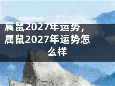 属鼠2027年运势，属鼠2027年运势怎么样