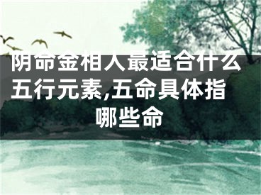 阴命金相人最适合什么五行元素,五命具体指哪些命