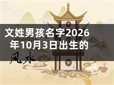 文姓男孩名字2026年10月3日出生的