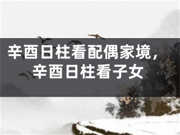辛酉日柱看配偶家境，辛酉日柱看子女