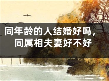 同年龄的人结婚好吗，同属相夫妻好不好