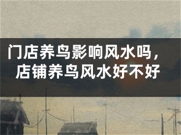 门店养鸟影响风水吗，店铺养鸟风水好不好