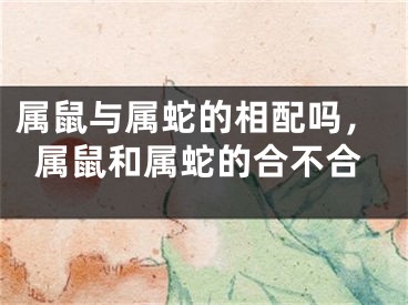 属鼠与属蛇的相配吗，属鼠和属蛇的合不合