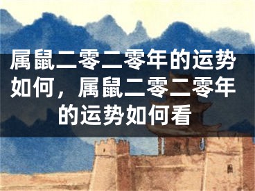 属鼠二零二零年的运势如何，属鼠二零二零年的运势如何看