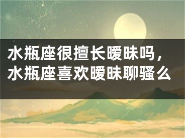 水瓶座很擅长暧昧吗,水瓶座喜欢暧昧聊骚么