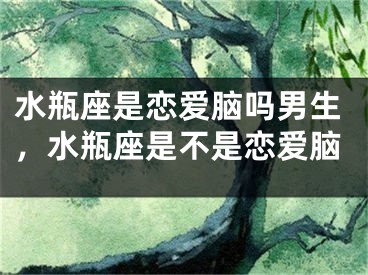 水瓶座是恋爱脑吗男生,水瓶座是不是恋爱脑
