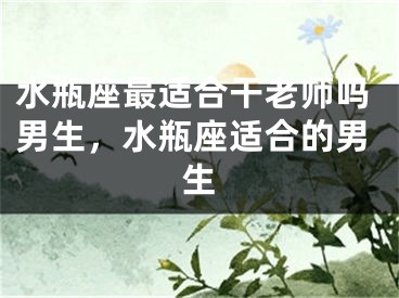 水瓶座最适合干老师吗男生,水瓶座适合的男生