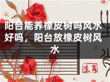 阳台能养橡皮树吗风水好吗，阳台放橡皮树风水