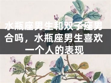 水瓶座男生和双子座男合吗,水瓶座男生喜欢一个人的表现