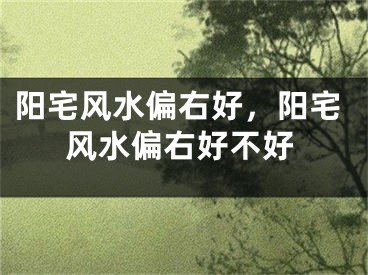 阳宅风水偏右好，阳宅风水偏右好不好