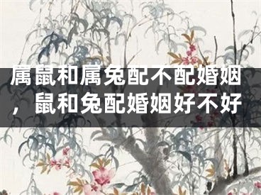 属鼠和属兔配不配婚姻,鼠和兔配婚姻好不好