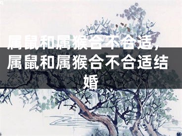 属鼠和属猴合不合适,属鼠和属猴合不合适结婚