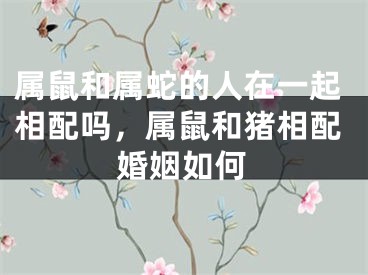 属鼠和属蛇的人在一起相配吗,属鼠和猪相配婚姻如何