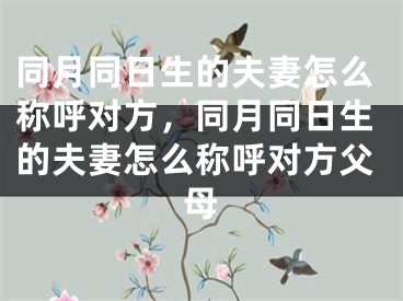 同月同日生的夫妻怎么称呼对方，同月同日生的夫妻怎么称呼对方父母