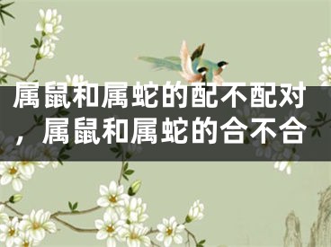 属鼠和属蛇的配不配对,属鼠和属蛇的合不合