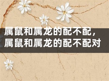 属鼠和属龙的配不配,属鼠和属龙的配不配对
