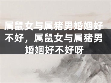 属鼠女与属猪男婚姻好不好，属鼠女与属猪男婚姻好不好呀