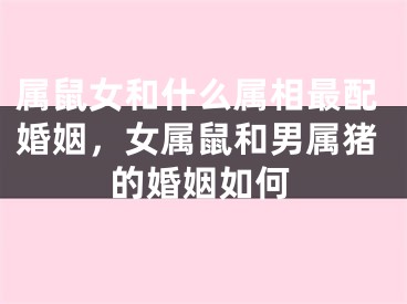 属鼠女和什么属相最配婚姻,女属鼠和男属猪的婚姻如何
