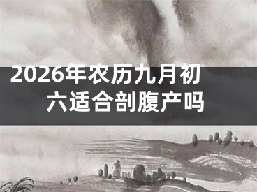 2026年农历九月初六适合剖腹产吗