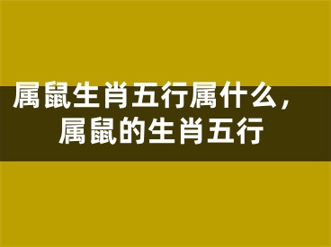 属鼠生肖五行属什么，属鼠的生肖五行