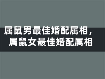 属鼠男最佳婚配属相，属鼠女最佳婚配属相