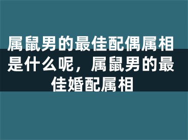 属鼠男的最佳配偶属相是什么呢,属鼠男的最佳婚配属相
