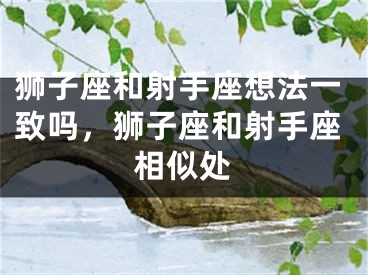 狮子座和射手座想法一致吗，狮子座和射手座相似处
